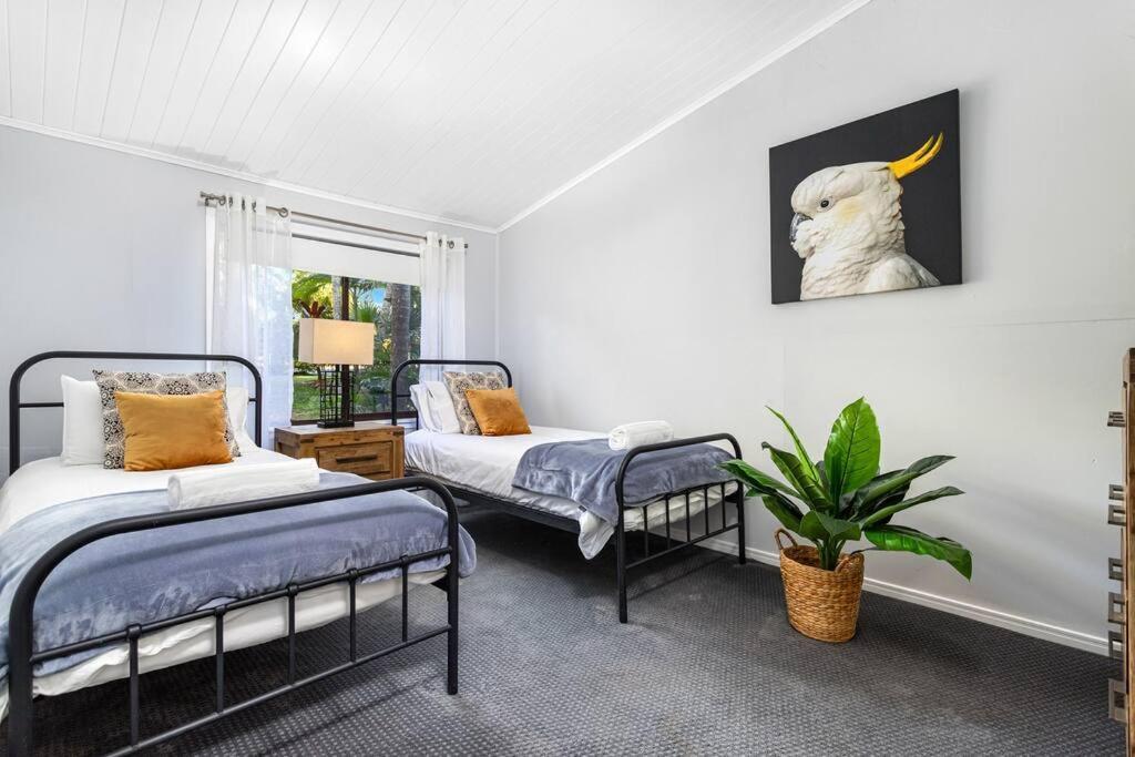 Palms Tamborine
