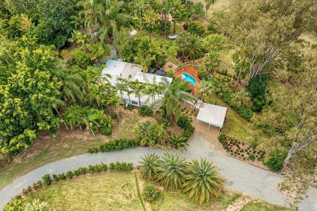 Palms